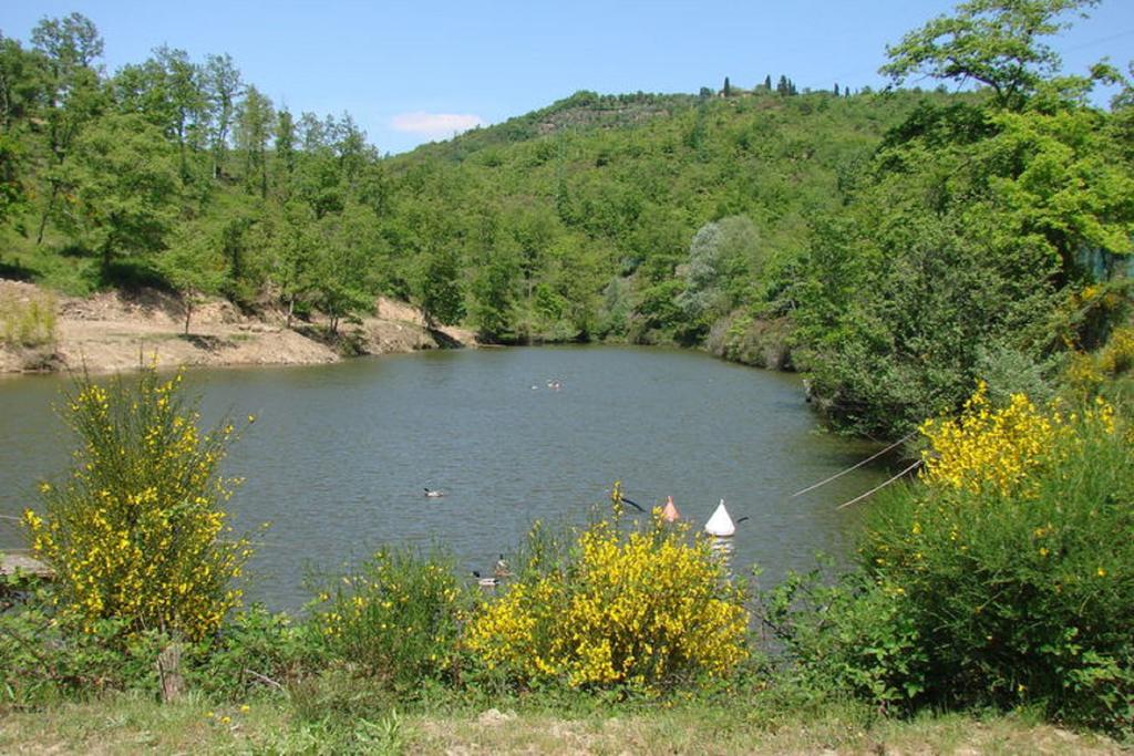Casa Vacanza Le Corniole Civitella in Val di Chiana Buitenkant foto