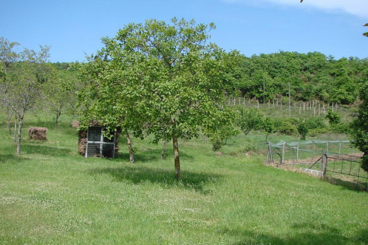 Casa Vacanza Le Corniole Civitella in Val di Chiana Buitenkant foto